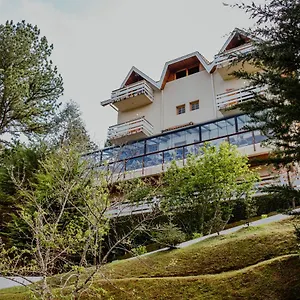Gasthof De France **